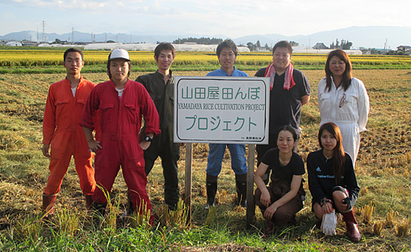 山田屋田んぼプロジェクト米 | お米館どっとねっと